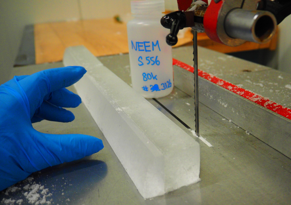 a blue-gloved hand inspecting a polar ice core